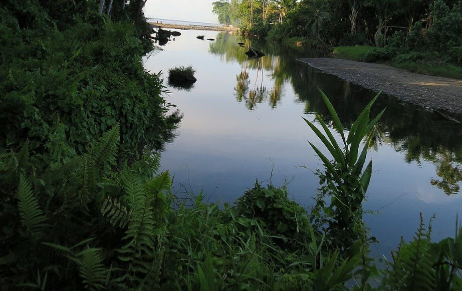 Mt. Popomanaseu, Guadalcanal Highlands, Solomon Islands